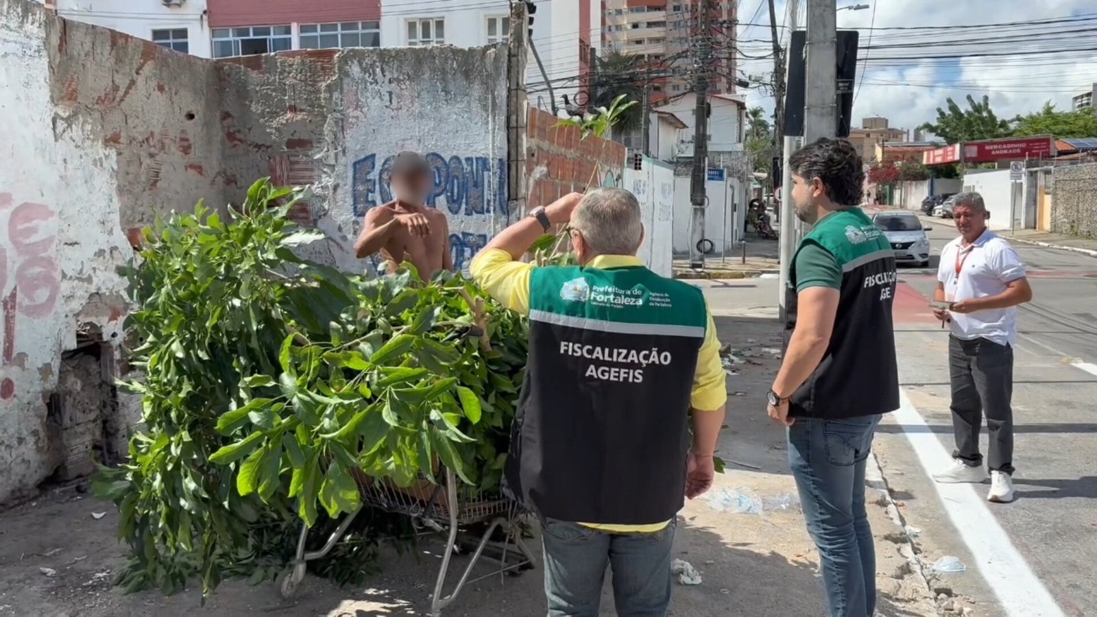 Capital Limpa e Ordenada: Agefis flagra descarte irregular de restos de poda e identifica corte sem 