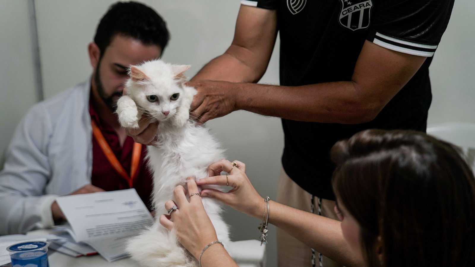 VetMóvel chega aos bairros Presidente Vargas e Benfica, com atendimento veterinário gratuito