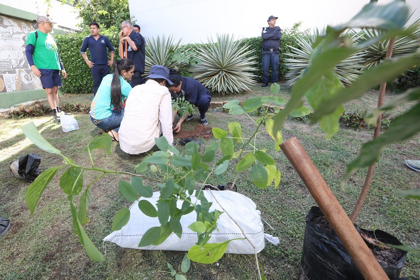 Bora Cuidar: servidores plantam mudas nativas e reforçam compromisso ambiental da Câmara antes da corrida no Cocó