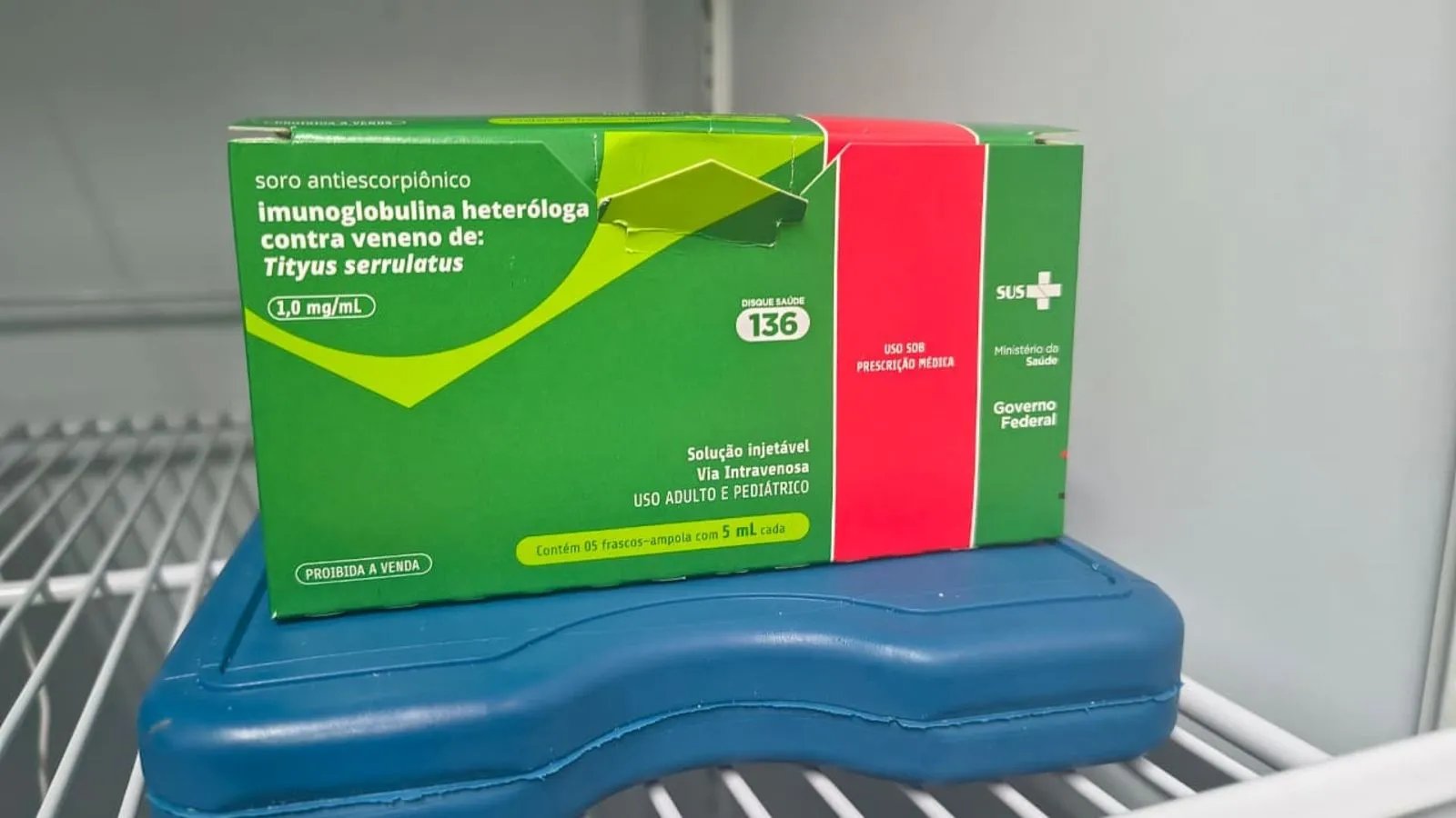 IJF alerta para prevenção contra escorpiões durante período de reprodução; hospital soma mais de 2.5