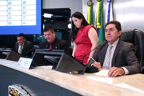 Sessão plenária (2)