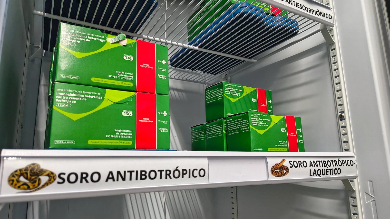 Ciatox do IJF registra mais de 180 acidentes com serpentes em 2026